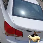 للبيع سياره شيفر ليت كروز موديل 2011 الممشي 145 ونص اوبشن