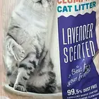 للبيع رمل قطط مستعمل استخدام بسيط النوع Super Clumping