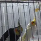 تصفيه خمسه ازواج كلها منتجه عندي للبيع
