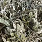 ميراميه للبيع