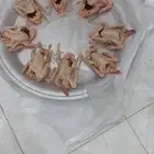 زغاليل فرنسي