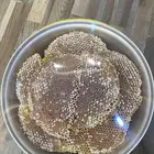 عسل الطلحه من مناحل عسل السدر الصافي