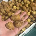 سكري مفتل فاخر