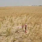 كشف وتحديد مواقع المياه تحت الارض تصوير آبار ارتوازية