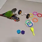 ببغاء كنيور