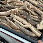 بقلاوه الشتاء شرط