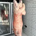 ملحمه شراع الريف