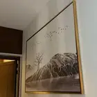 لوحات لوحات كانفس لوحات جداريه