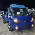 كيابنجو2022