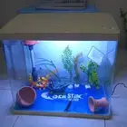 حوض سمك واقفاص طيور