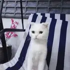 الرياض حي الدرعية