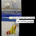 البيع