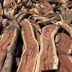 السفارات الروابي الدرعية العمارية