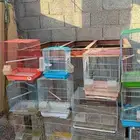للبيع قفصان من 10