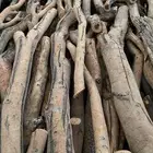 السلي. الجنادرية النسيم