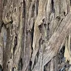 عرض عود هندي نقلند فاخر