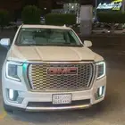 دينالي 2021