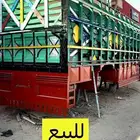 صندوق شامي