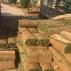 عشب طبيعي وأحواض زراعه طبيعي
