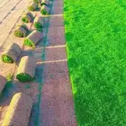 ثيل طبيعي درجه اولى C2000فرنسي