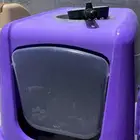 مستلزمات قطط