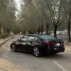 التيما