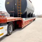 لوبد متواجد في الوجه العلا تبوك