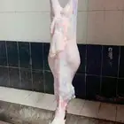 محمد جزار من مصر مقيم بالسعودية ببحث عن أي عمل في اي ملحمه