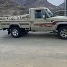 جيب شاص 2013