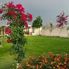 مزارع للحديقة