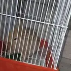 ارنب لتبني حق بيت و يحب يلعب توصل ف الوتساب