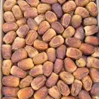 رطب سكري نضيف رقم 2