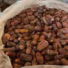 يوجد تمور مشكله نبوت سلطان نبوت سيف برحي سلج خصاب وو