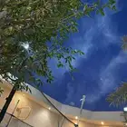 تخفيض لفتره محدوده فقط لمده ثلاثه ايام حصلو العرض