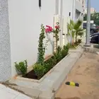 تنسيق حدائق جده ومكه عشب طبيعي الاشجار والورود والنخيل