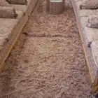 كنب نظيف مرتب مستخدم قليلا