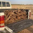 لبيع دفيات حياك الله توصل وتس فقط علا رقم