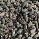 صفاوي فاخر 20 طن