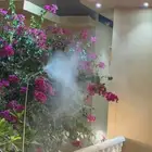 رذاذ الحدائق تركيب ضباب