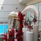 كوش افرح