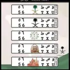 لوحه مميزه للبيع عاجل
