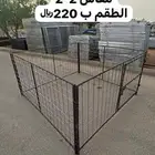 شبوك غنم