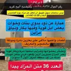 نياق وضح كفو مزايين فرصة البيع تفريد