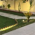 شاليه ذا فيو