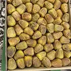 تمر سكري مفتل القصيم كميات كبيرة متوفرهه