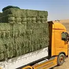 اعلاف برسيم