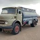 للبيع وايت حصني