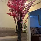 شجره زينه شبه جديده وجوده عاليه