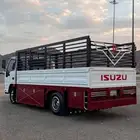 دينا ايسوزو