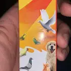 اقبل جميع انواع الطيور لي التبني و لدي الخبرة الكافية